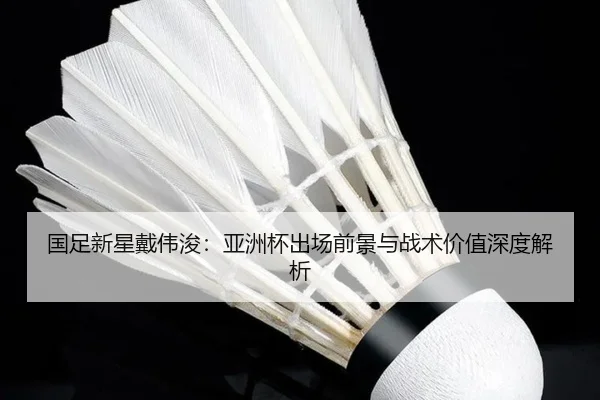国足新星戴伟浚:亚洲杯出场前景与战术价值深度解析